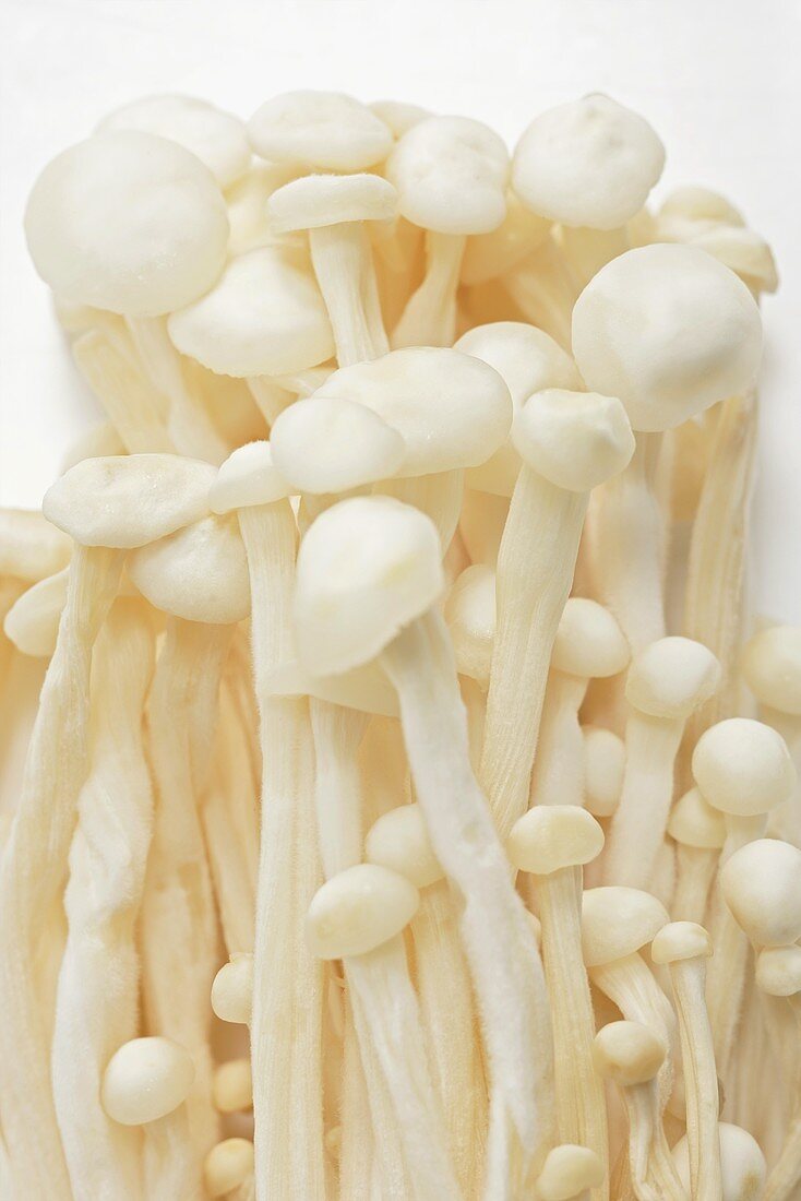 Enokitake mushrooms (close-up)