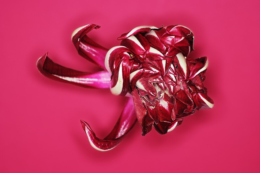 A head of radicchio from above