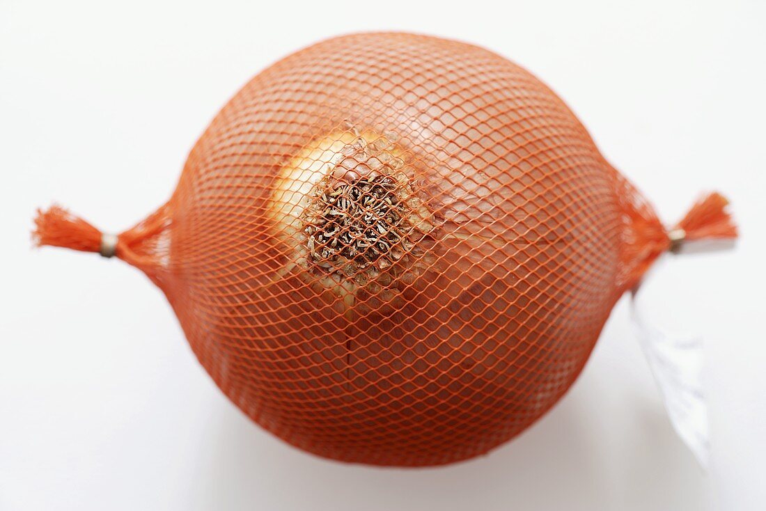 Brown onion in a net
