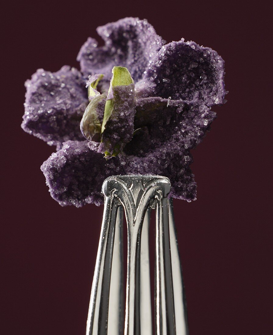 Candied violet held in tongs (close-up)