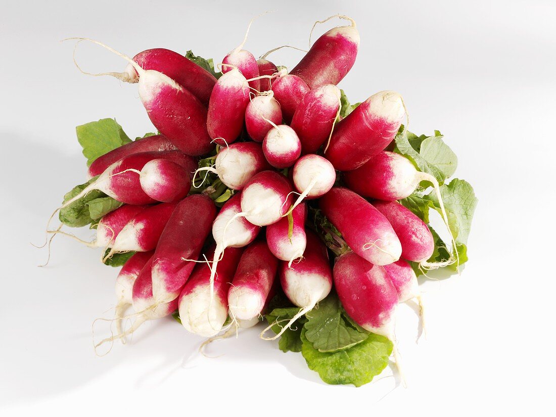 Red radishes with white tips, a bunch