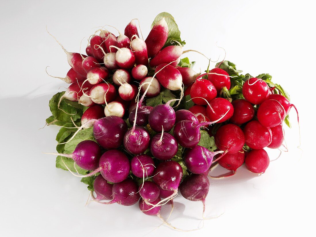 Various types of radishes, in bunches
