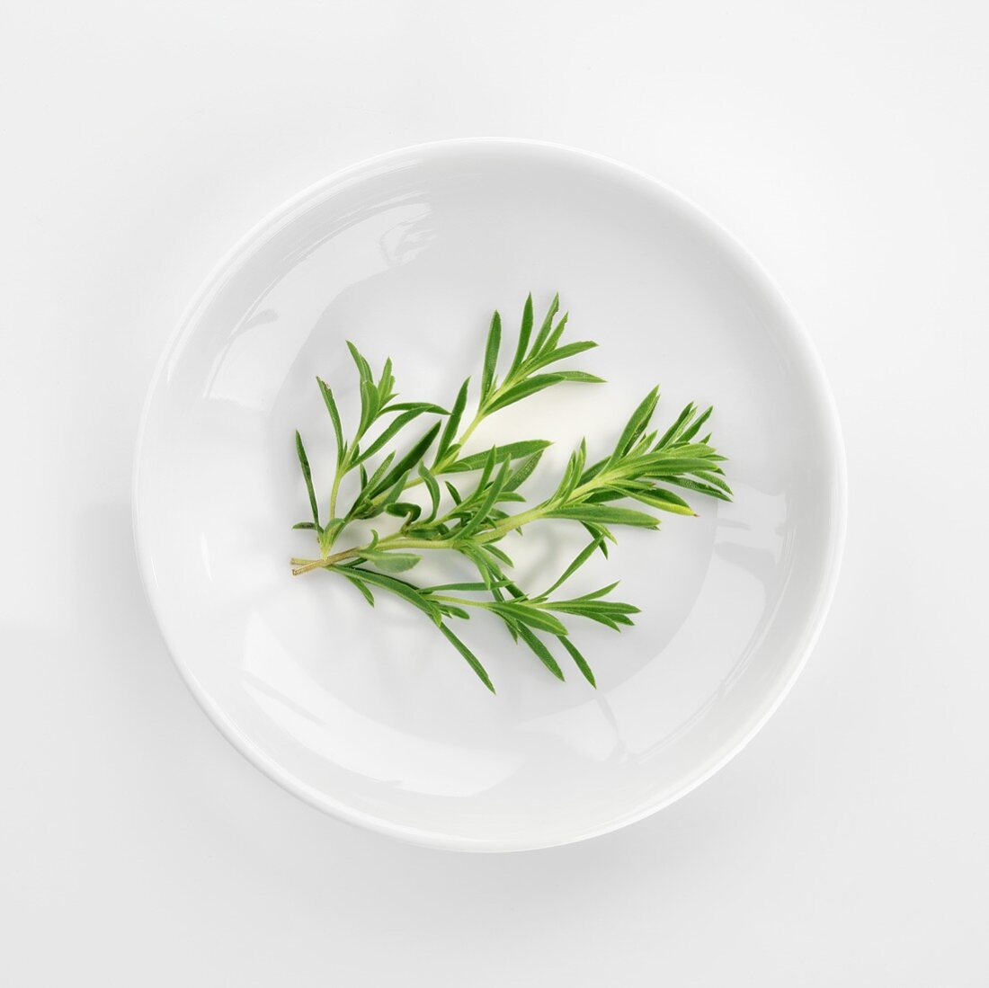 Several sprigs of savory in white dish (overhead view)