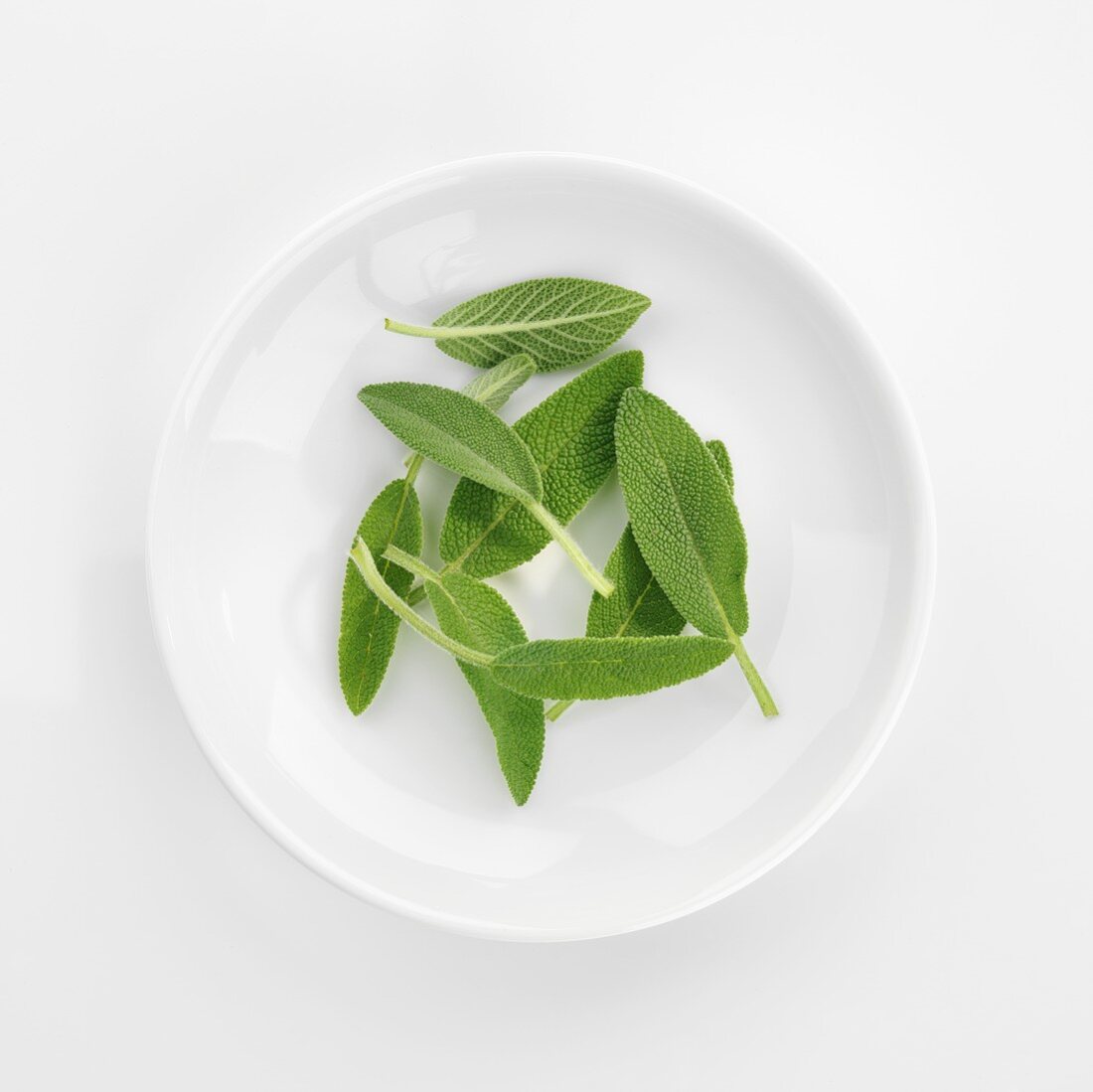 Fresh sage leaves in white dish