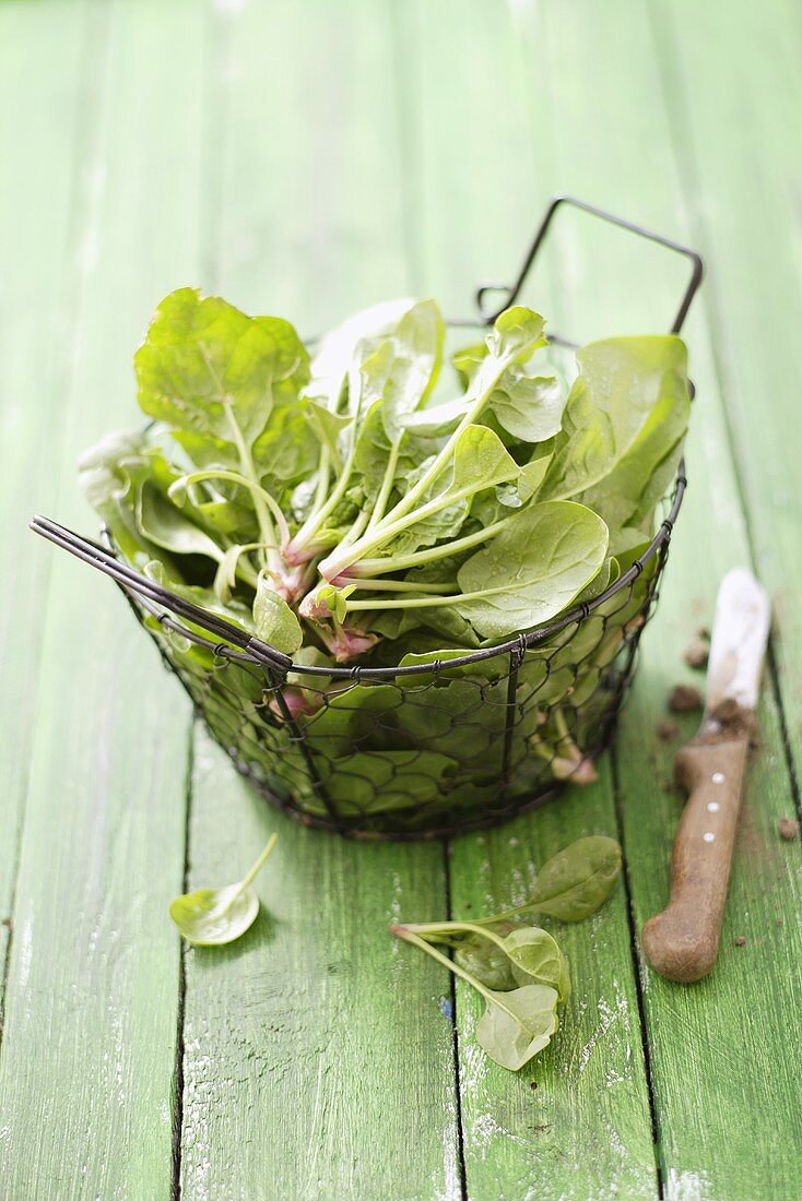 Fresh spinach in a wire basket