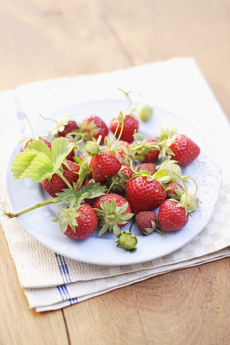 Fresh organic strawberries on plate