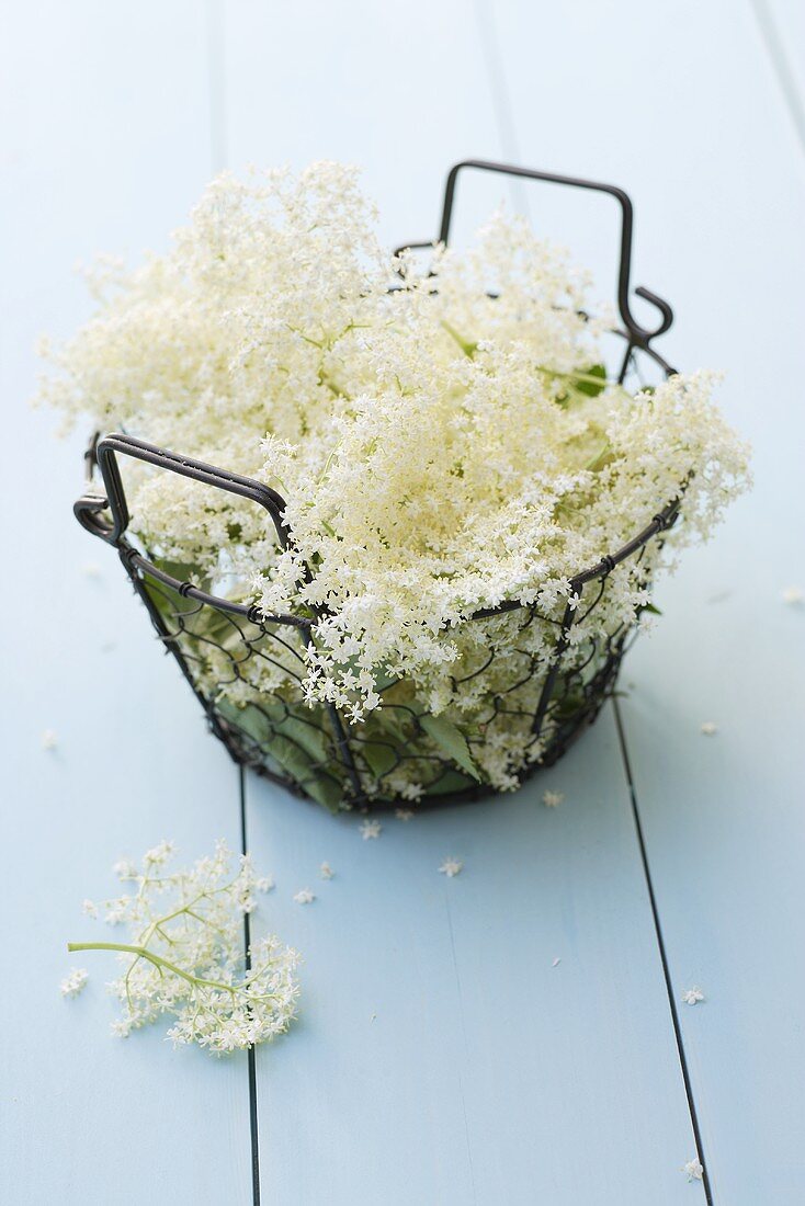 Elderflowers in a wire basket
