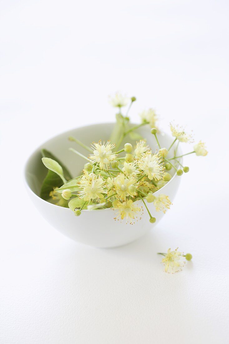 Lime blossom in a small bowl
