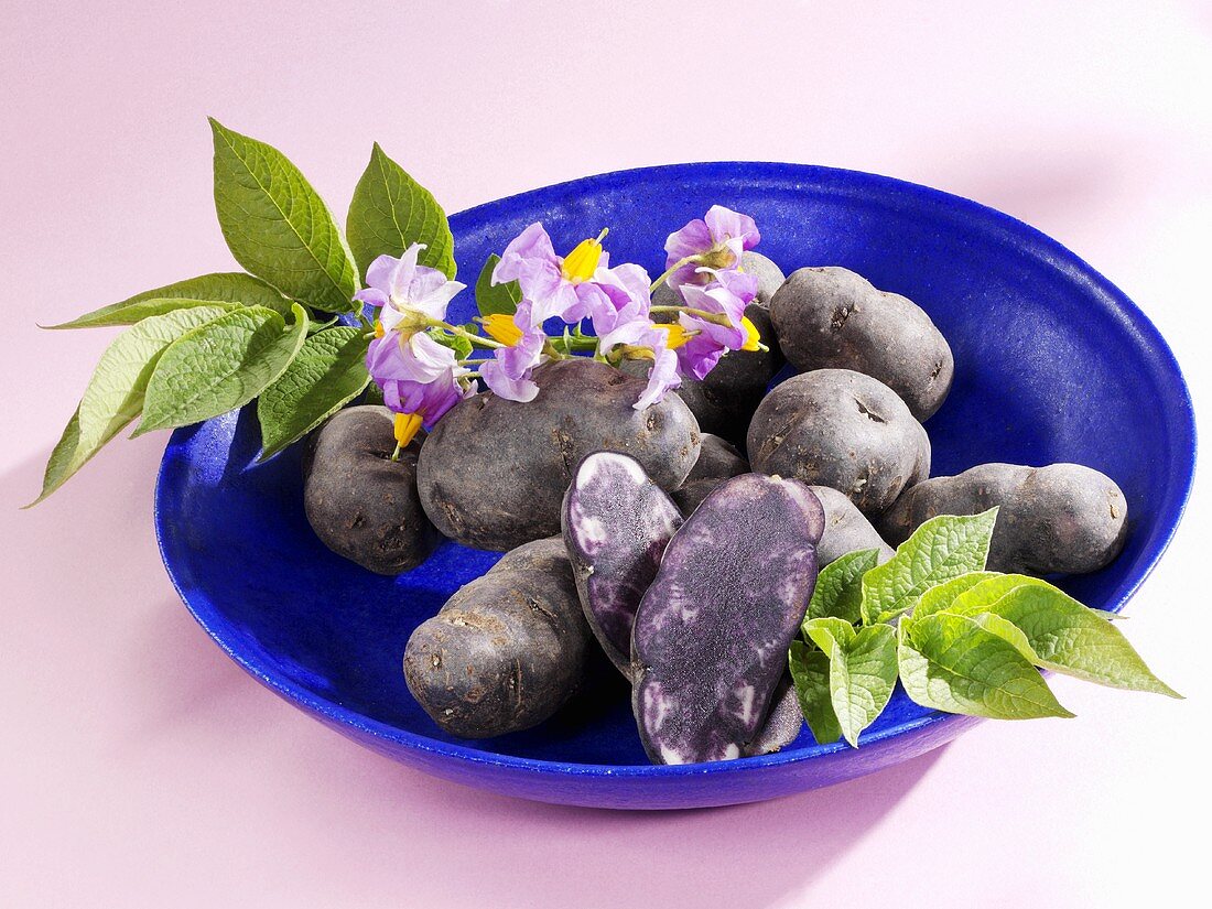 Mehrere Trüffelkartoffeln mit Blüten in blauer Schale