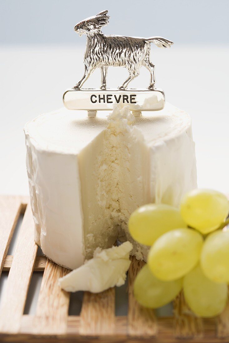 Chèvre (goat's cheese) with label, green grapes