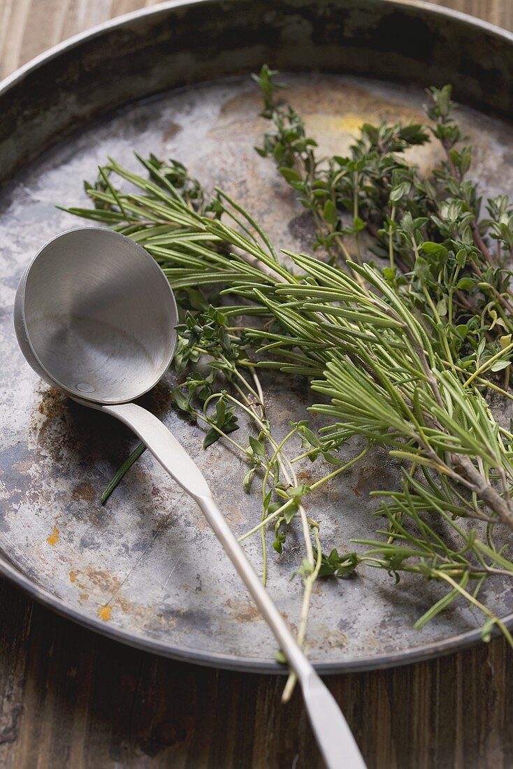 Fresh herbs and soup ladle
