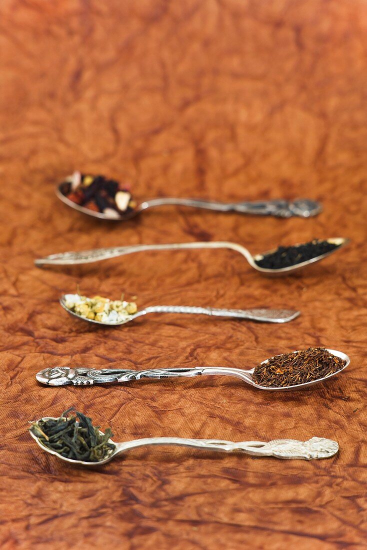 Fünf verschiedene Teesorten auf Löffeln