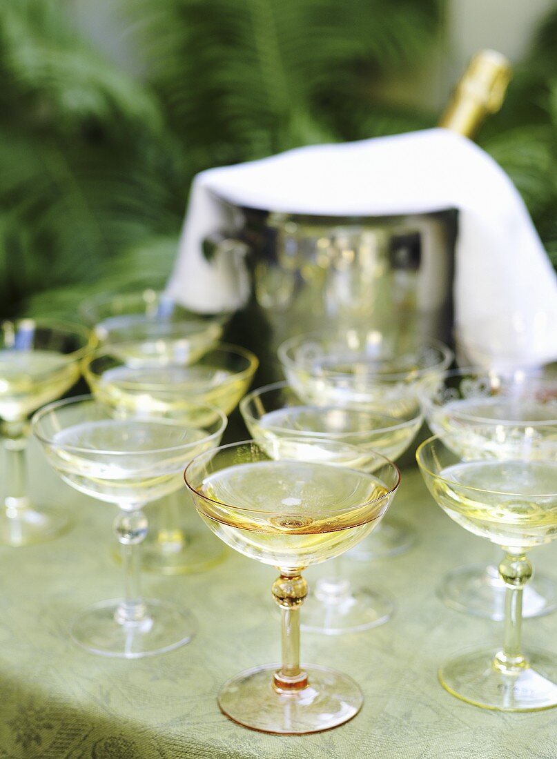 Several glasses of sparkling wine & wine cooler on table outdoors