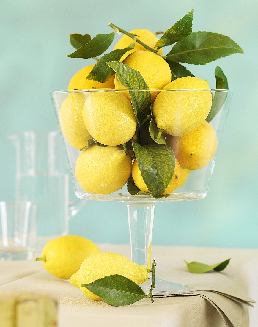 Zitronen mit Blättern in Glasschale auf Tisch