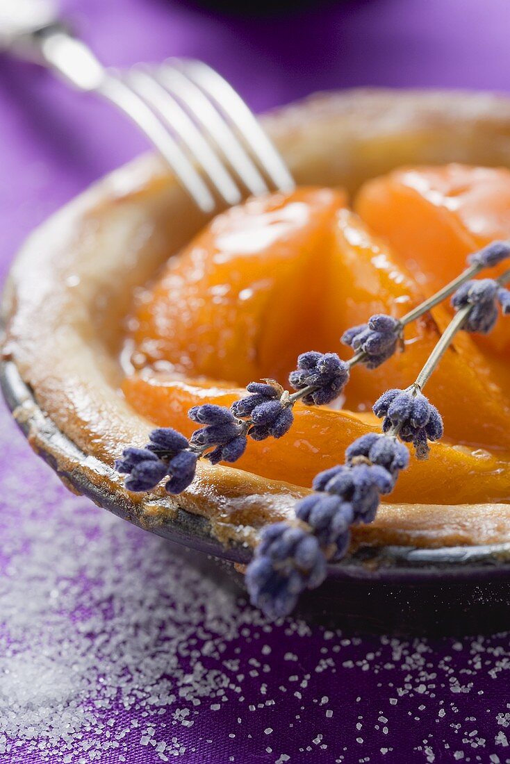 Apricot tart with lavender flowers