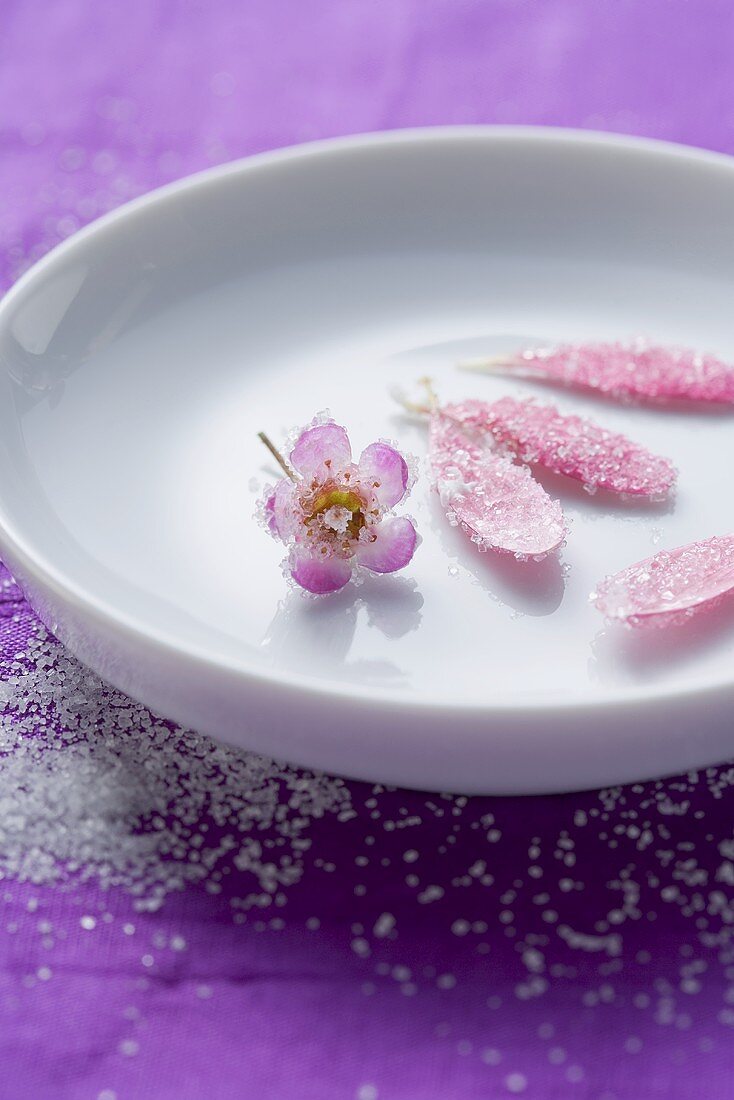 Sugared edible flowers