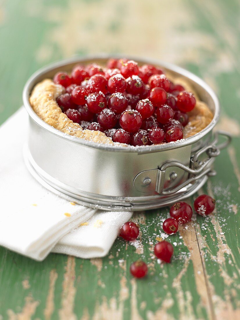 Redcurrants in puff pastry shell in a springform pan