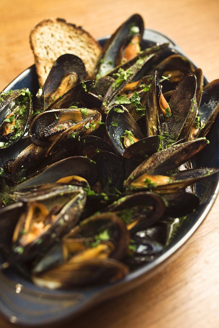Zuppa di cozze (Steamed mussels with toast, Italy)