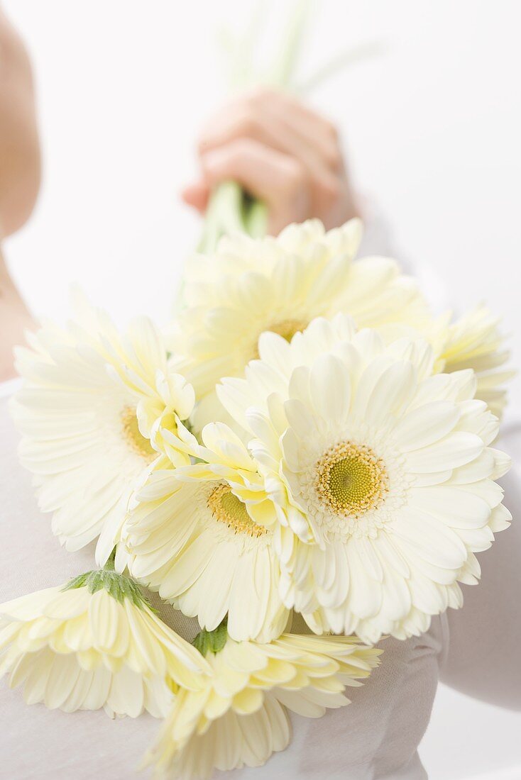 Woman holding white gerberas