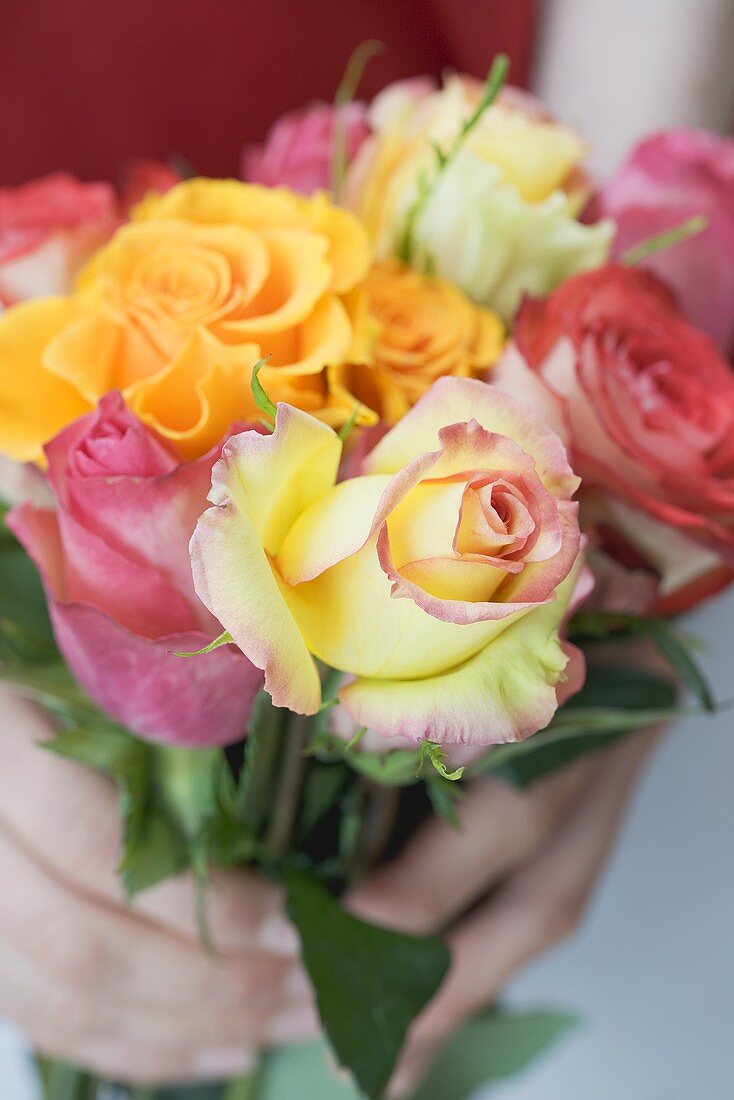 Hands holding a bunch of mixed roses