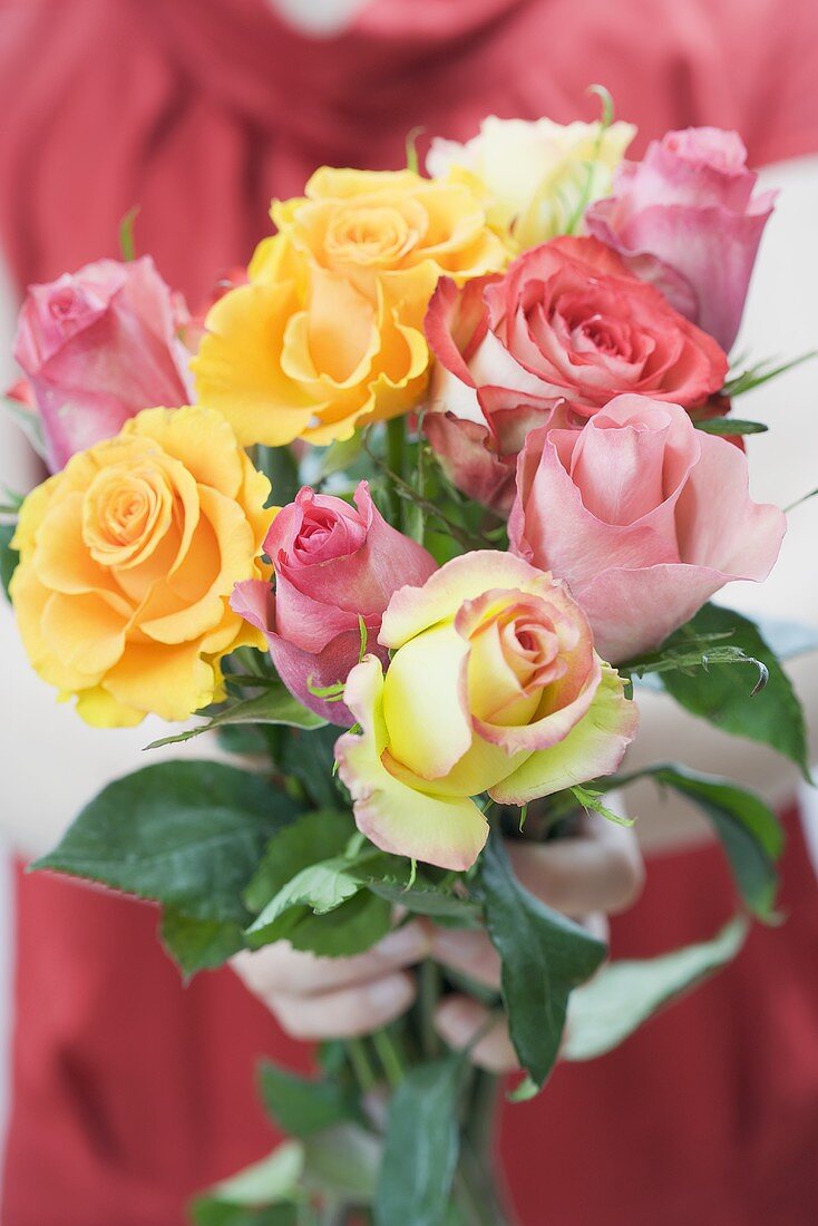 Hands holding bunch of mixed roses