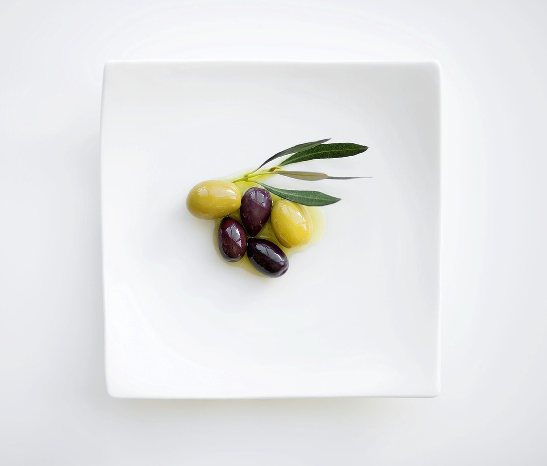 Pickled olives with olive sprig on plate