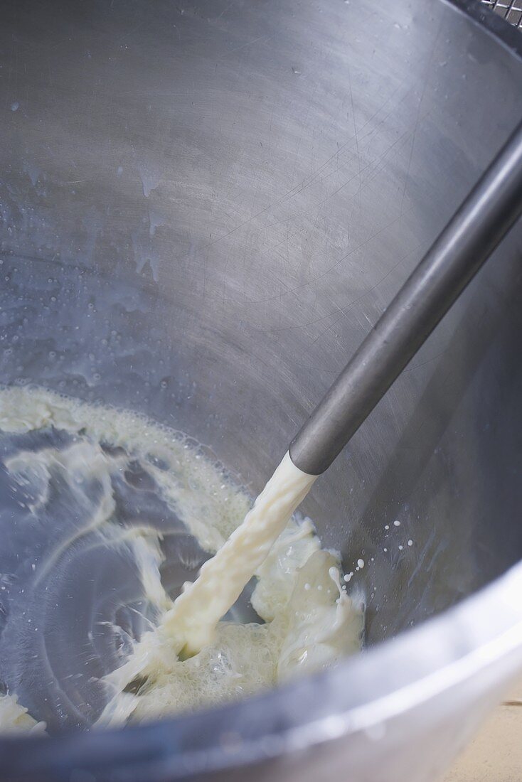 Milk running into a stainless steel vessel