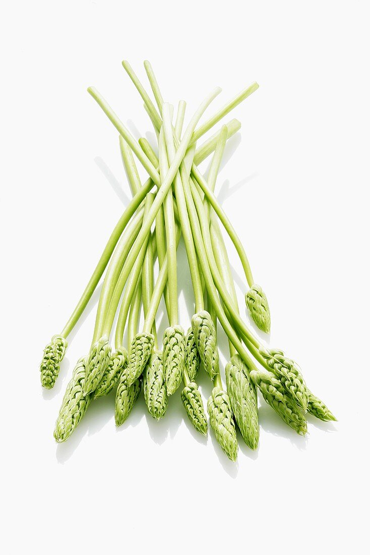 Wild asparagus