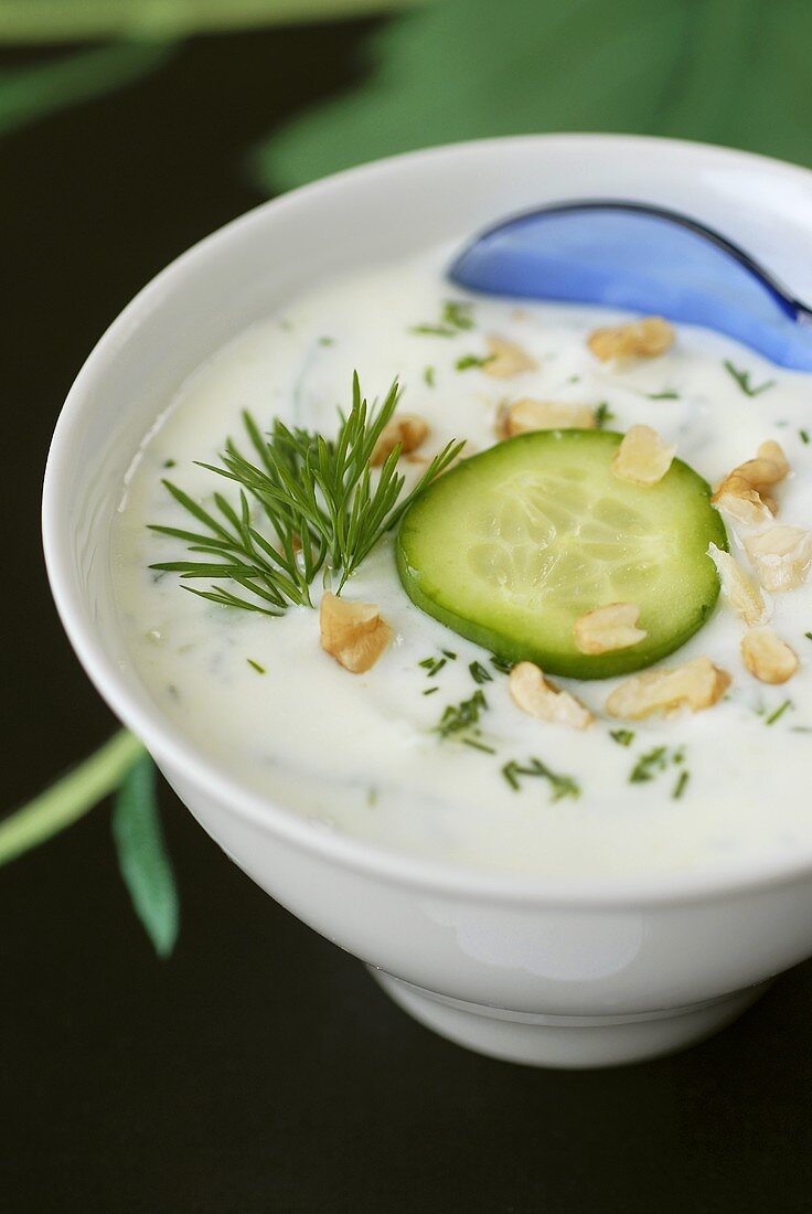 Kalte Joghurtsuppe mit Gurken, Dill und Nüssen (Bulgarien)