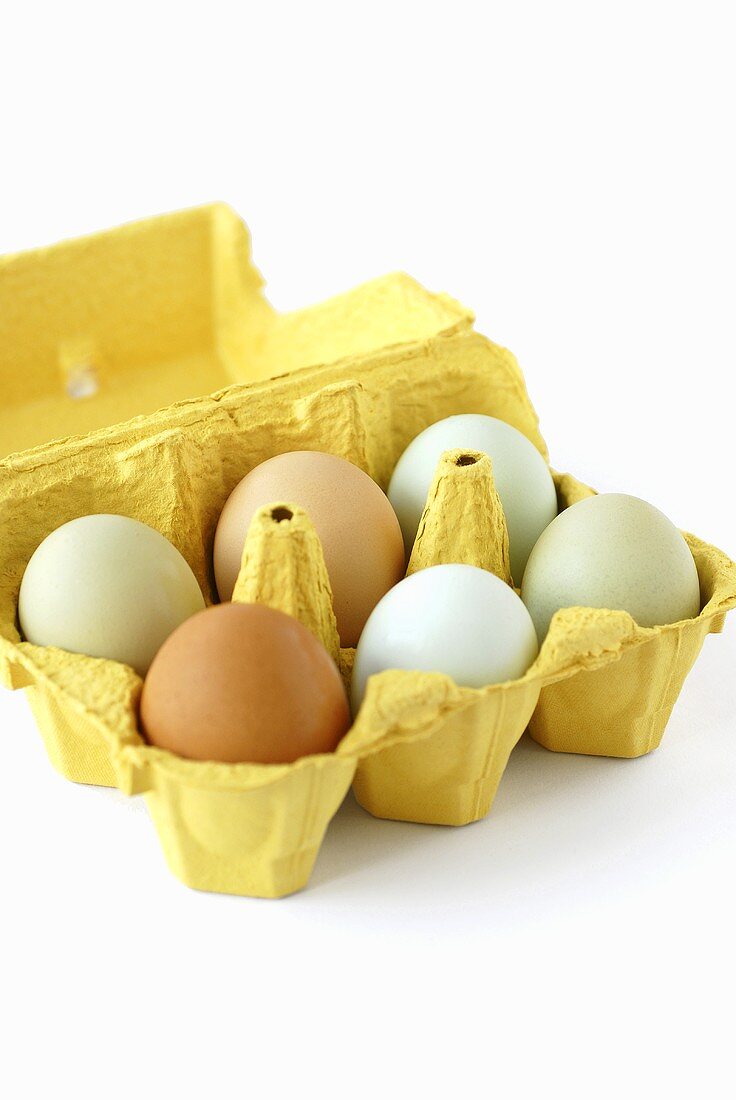 Sechs Eier im Eierkarton