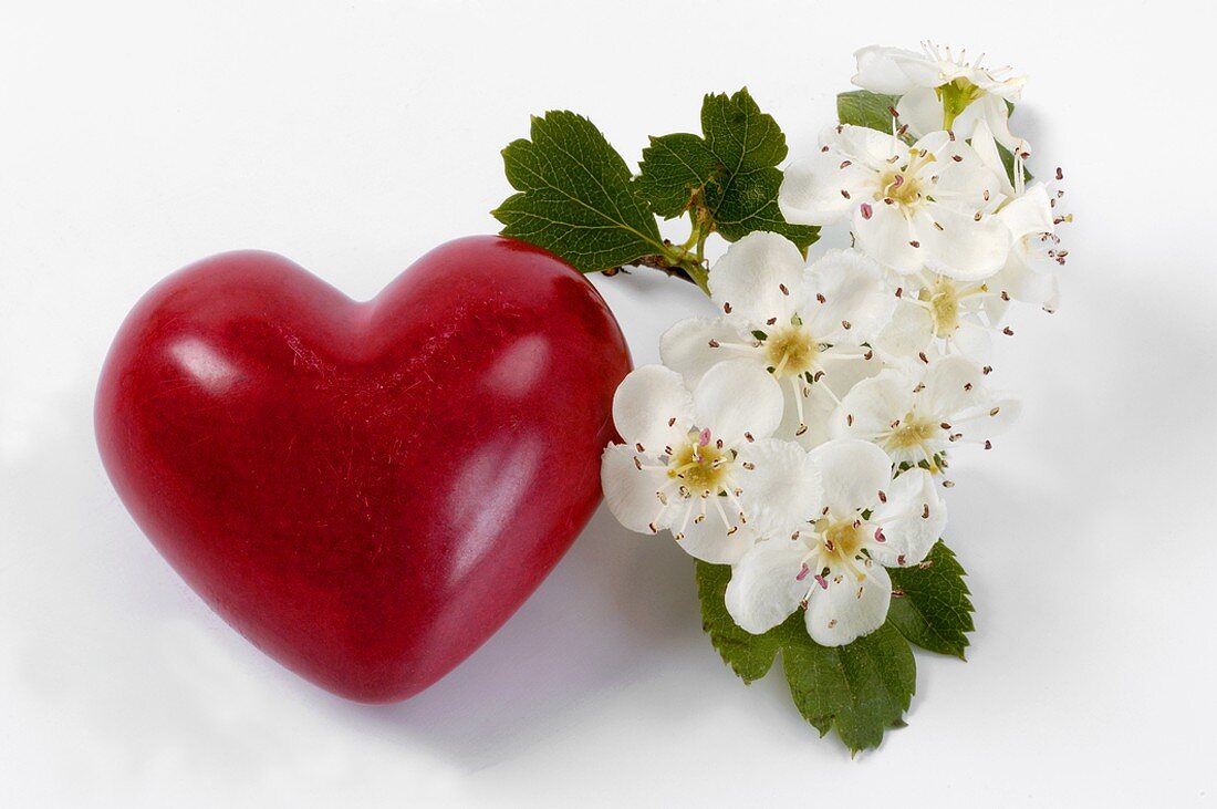 Rotes Herz und Weissdornblüten
