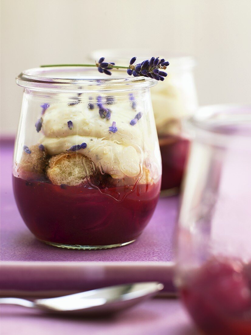 Tiramisu mit Lavendel