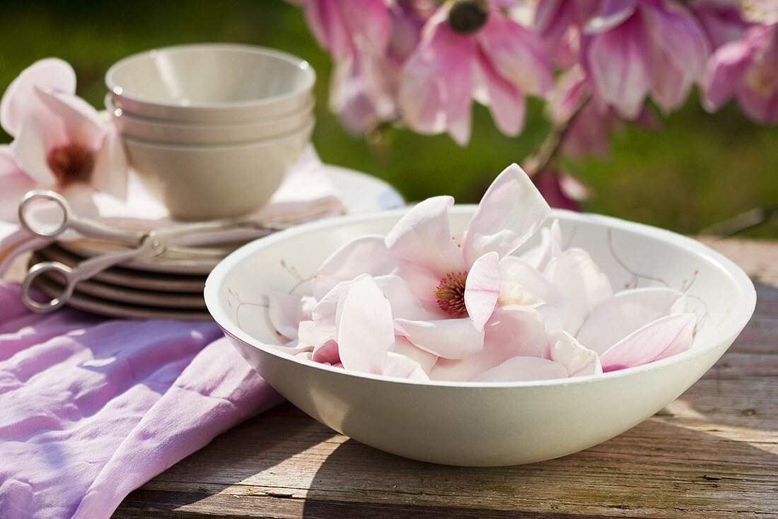 Magnolias in dish on table out of doors