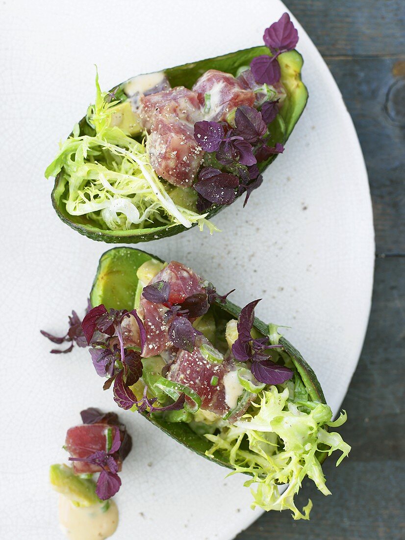 Stuffed avocados with tuna and daikon cress filling
