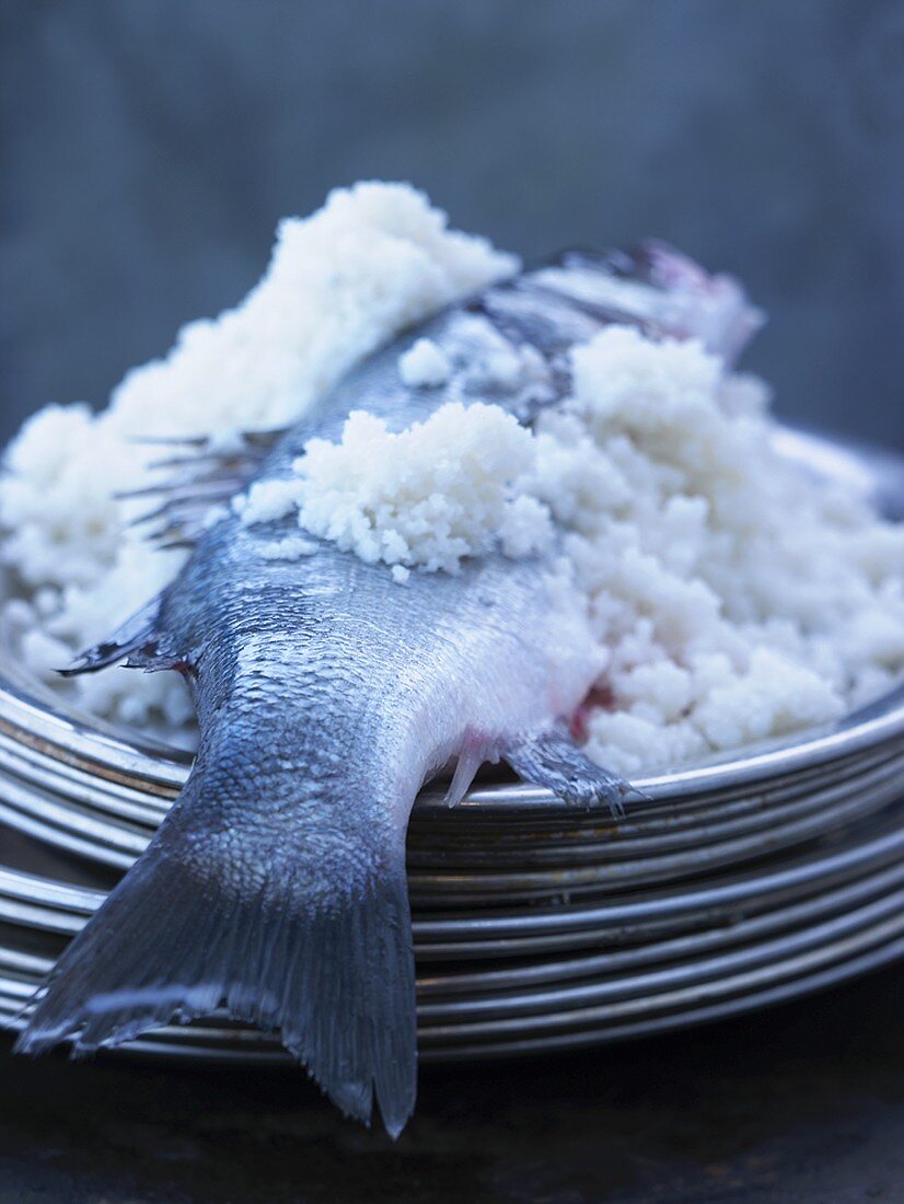 Sea bass in salt crust on pile of plates
