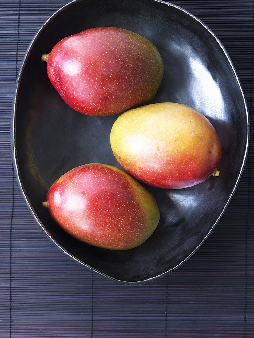 Three mangos in bowl