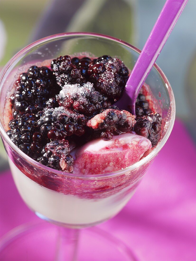 Panna cotta with blackberries