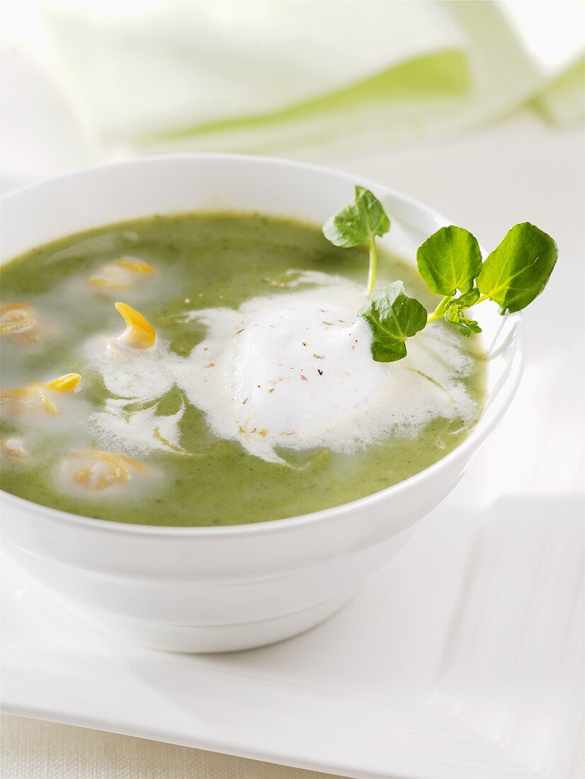 Watercress soup with sour cream
