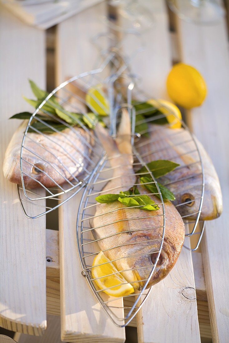 Fresh sea bream with bay leaves & lemons ready for grilling