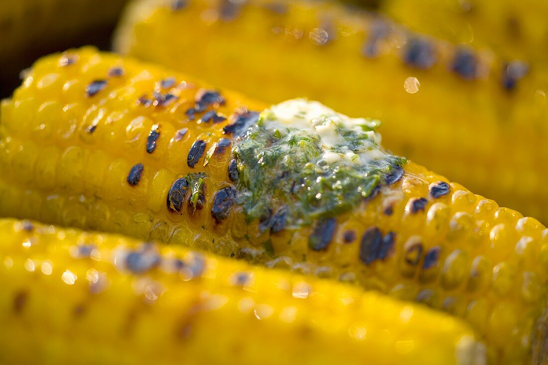 Grilled corn cobs with herb butter (close-up)