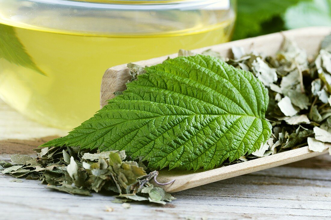 Raspberry leaves and cup of tea