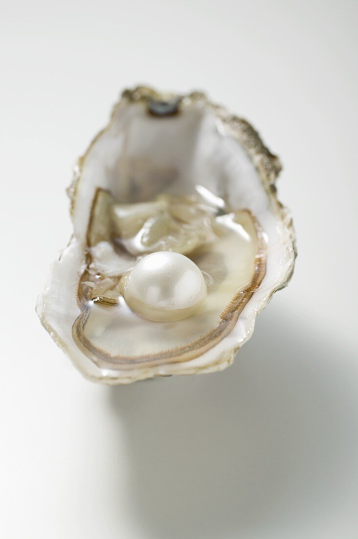 Fresh oyster with pearl (close-up)