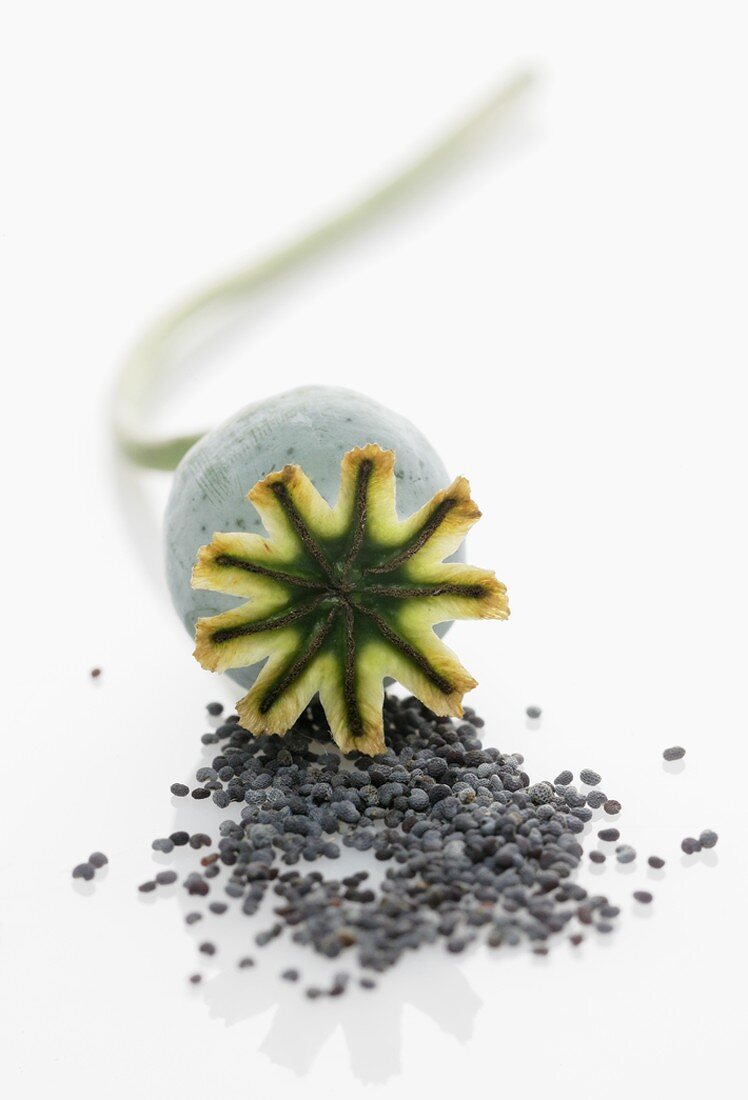 Poppy seed capsule and poppy seeds
