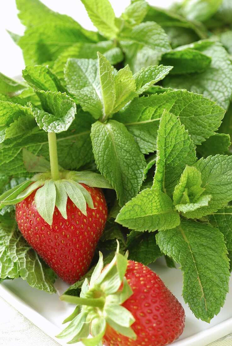 Strawberries and fresh mint