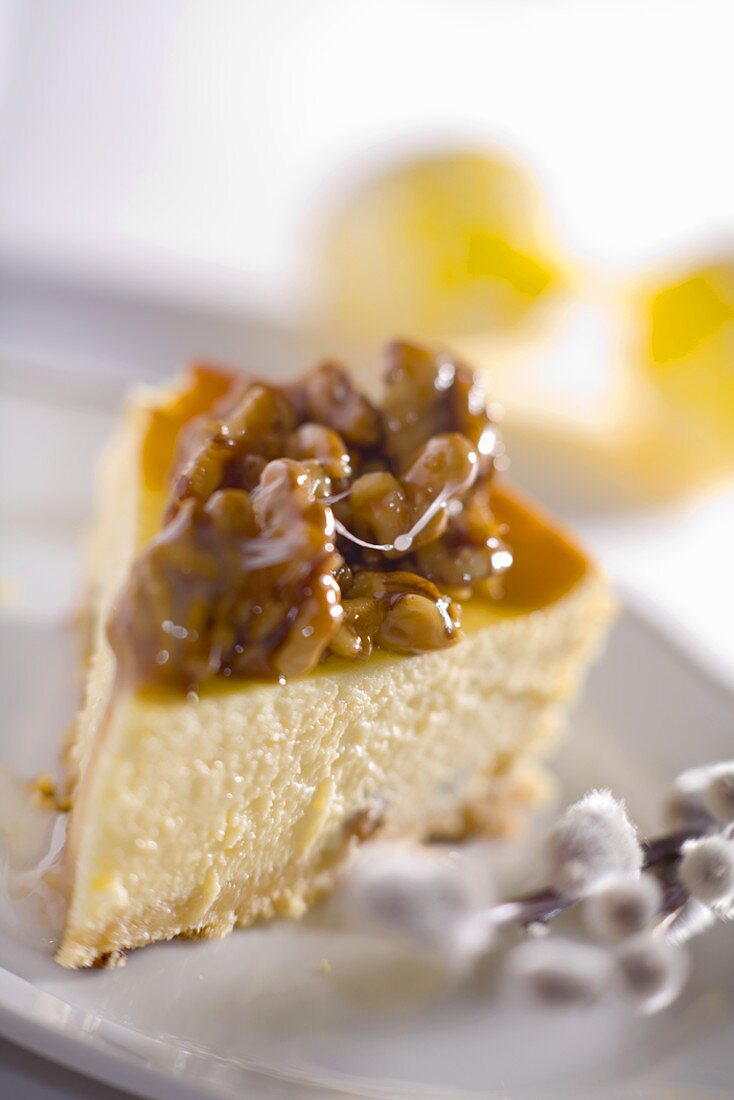 Stück Käsekuchen mit glasierten Walnüssen zu Ostern