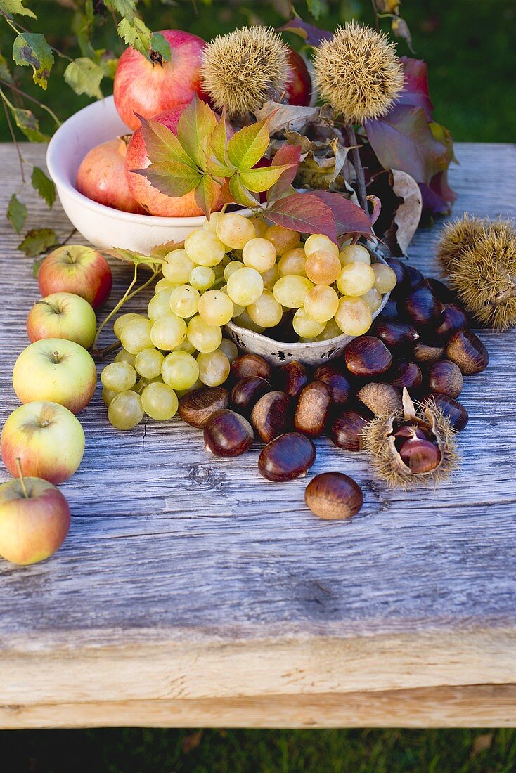 Esskastanien, Granatäpfel, Trauben, Äpfel und Herbstlaub