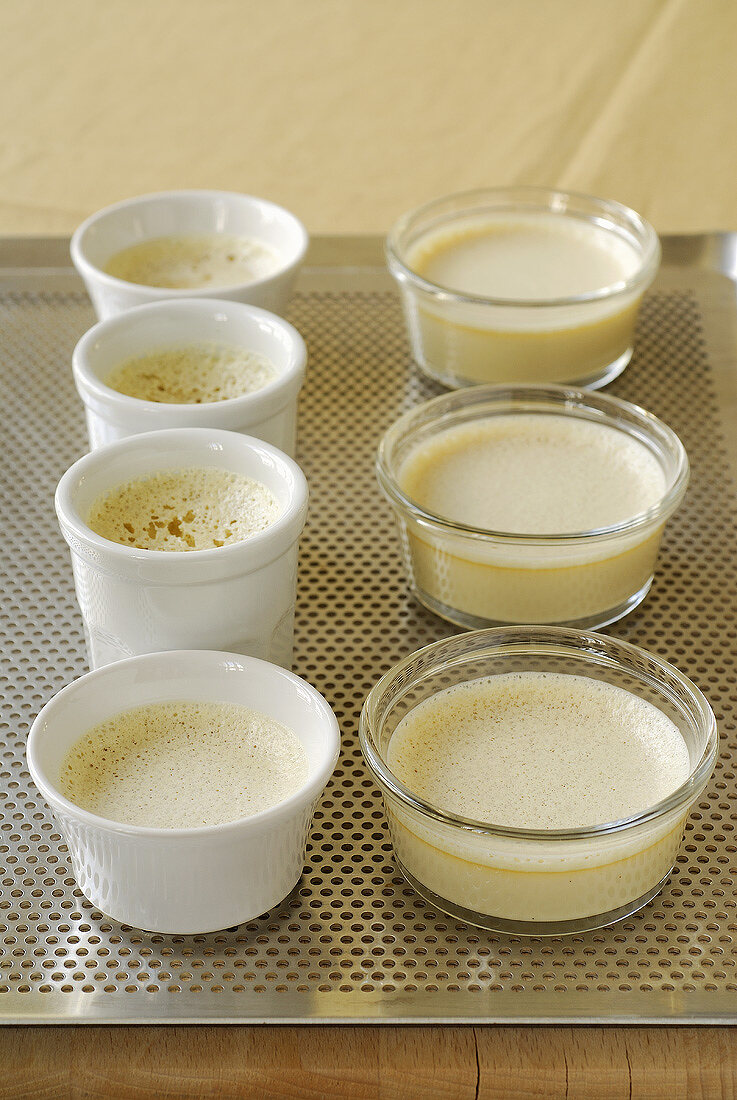 Vanilla cream in seven small dishes