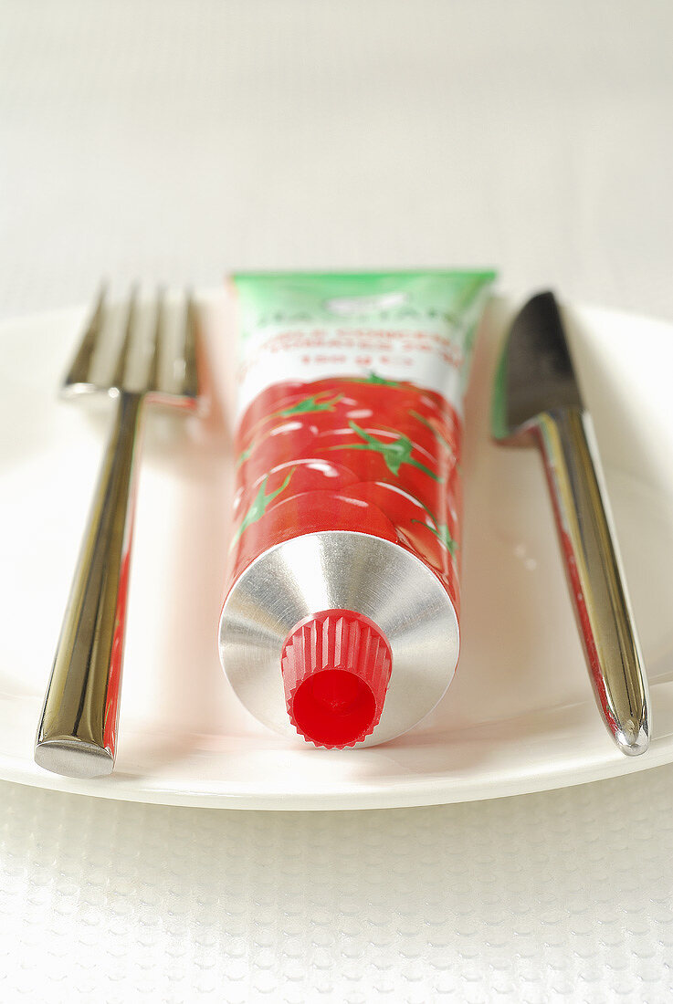 Tomatenmark in Tube auf Teller mit Besteck