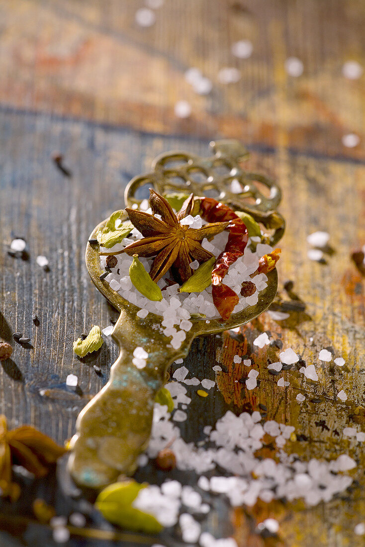 Salt with various spices on spoon