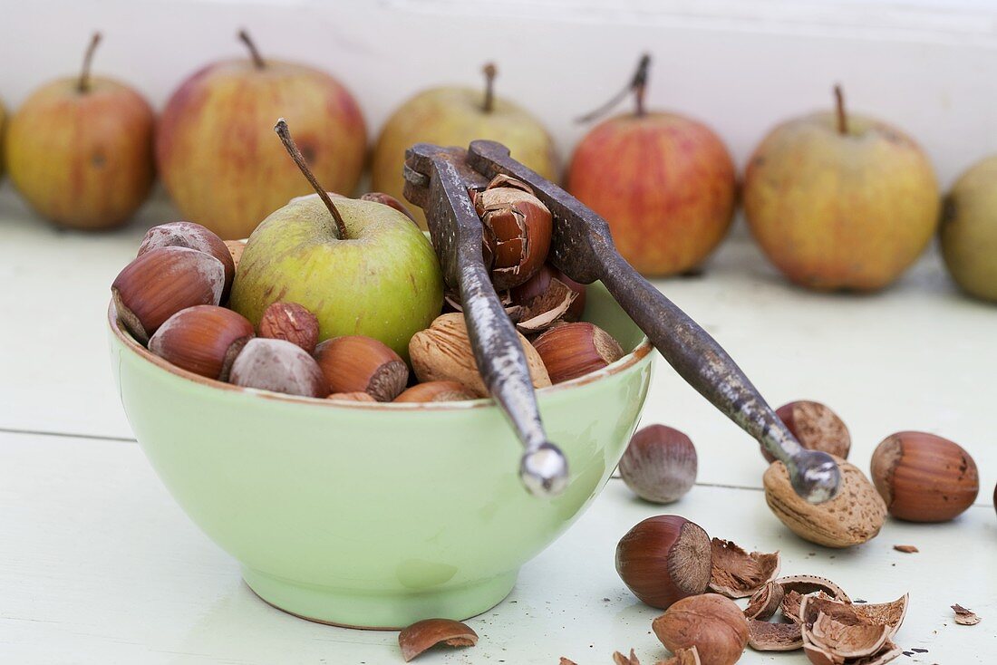 Apples, almonds and hazlenuts with a nutcracker
